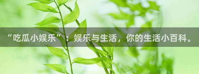 顶流男星被曝隐瞒婚史，前妻晒出聊天记录实锤